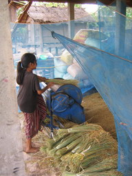 Mecanical threashing
